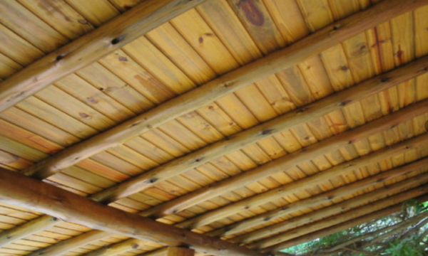 Forro de Pinus Autoclavado - Imagem 2